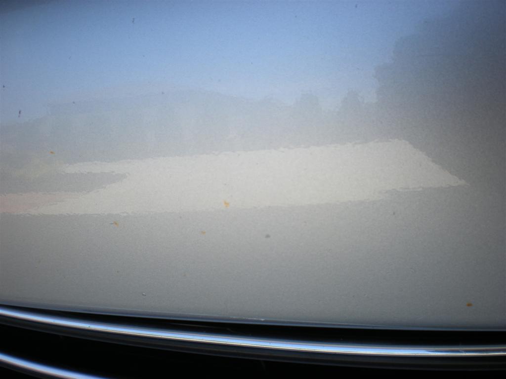 s2000_bra_bugs.JPG